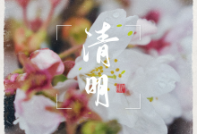 树绿花开逢清明，踏青登高沐春风！